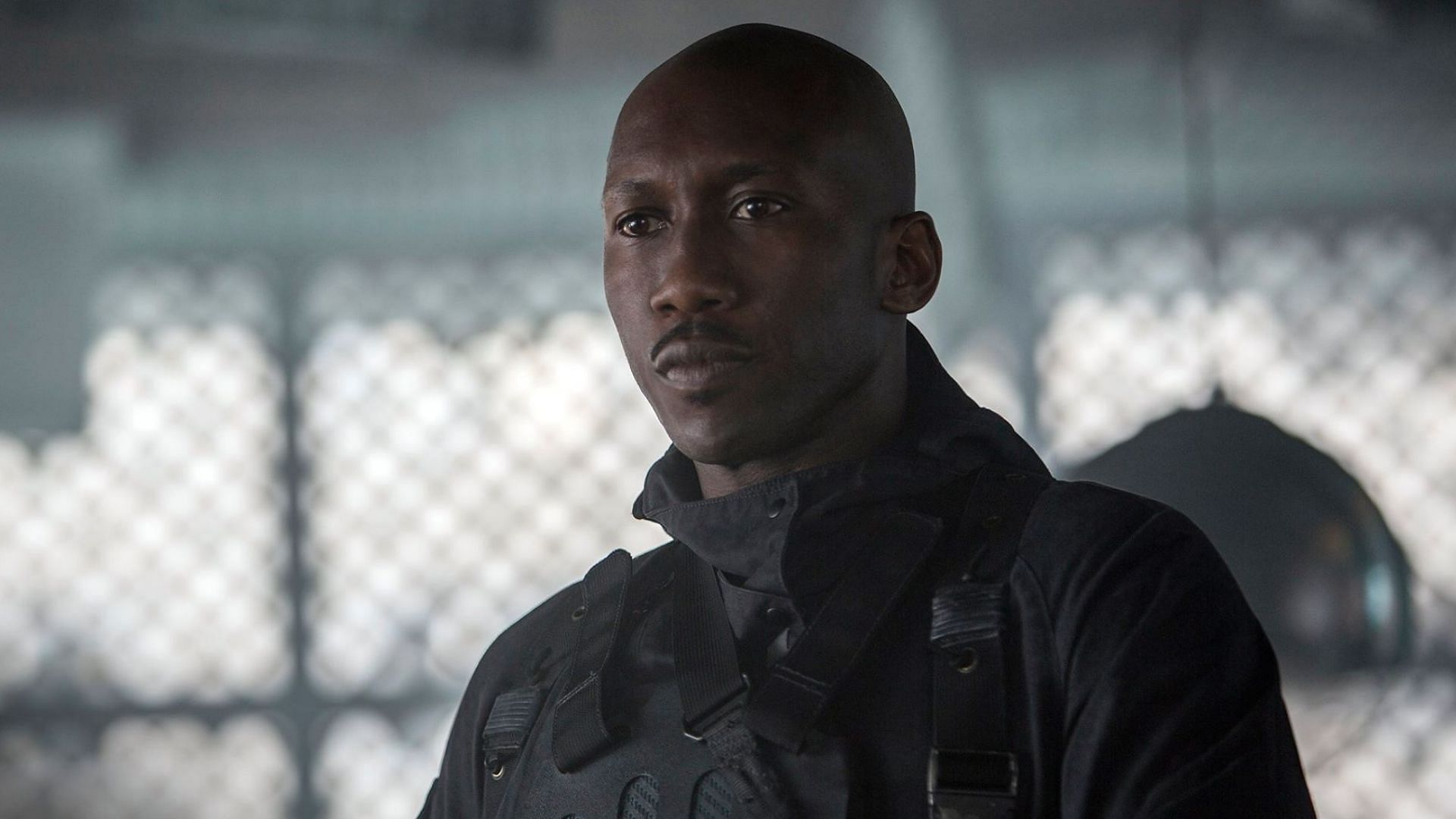 Mahershala Ali stars as Boggs (Image via Facebook/The Hunger Games)